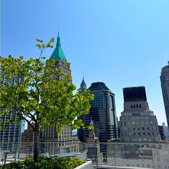 Meet your Posher - Picture 1 of 1